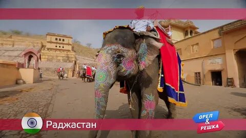 Орел и решка хургада