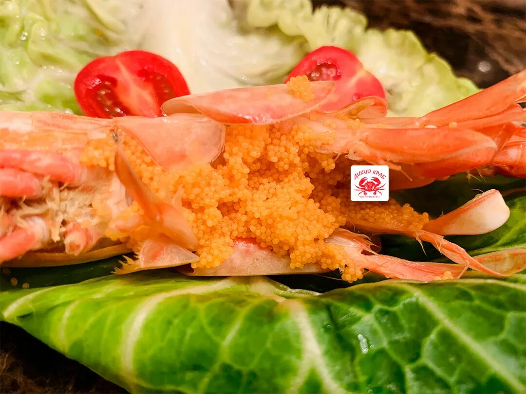 креветочная икра. креветка северная 80/100. креветка медведка шримс. рыба икра креветки. икра на брюшке у креветки.