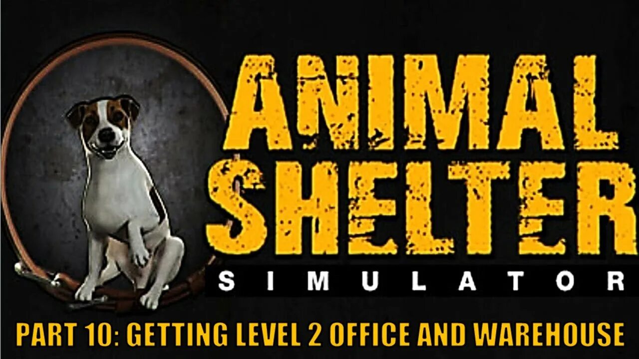 Animal shelter prologue. Animal shelter игра. Animal shelter обложка. Энимал шелтер. Animal shelter prologue.