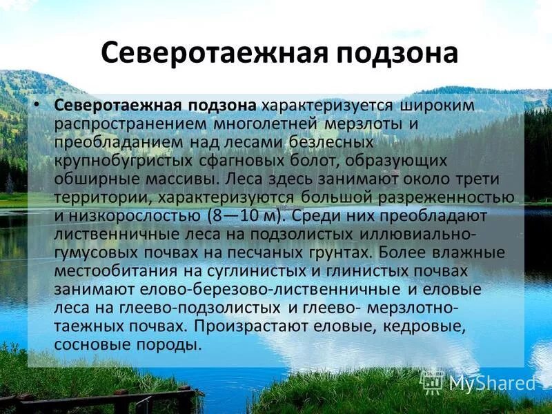 способны образовывать обширные леса характеризуются. способны образовывать обширные леса характеризуются. способны образовывать обширные леса характеризуются. способны образовывать обширные леса характеризуются. понятие болото.