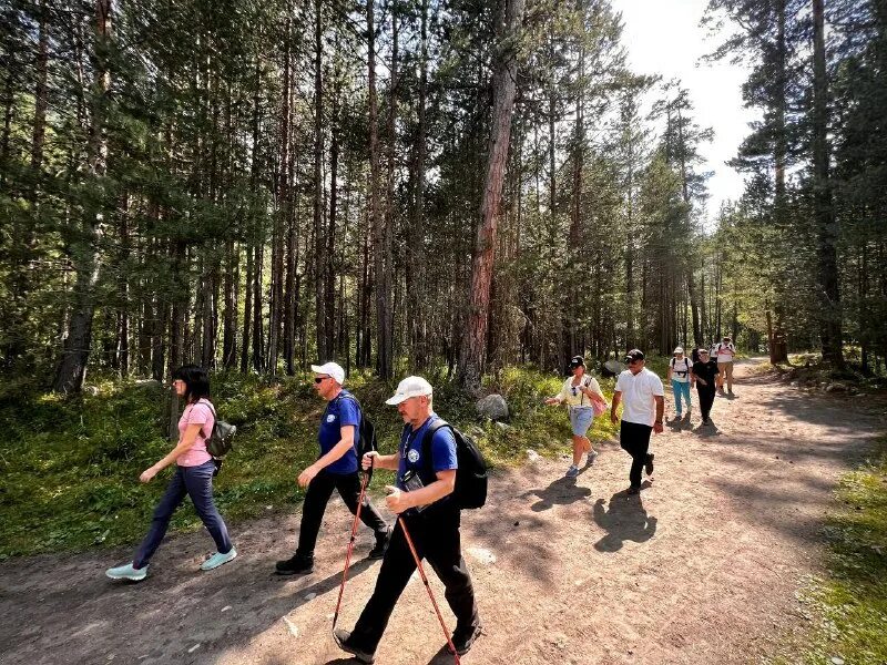 центр развития курортов и туризма. министерство туризма крыма ассоциация гидов официальный сайт-. центр развития курортов и туризма. министерство курортов и туризма республики крым. администрация туапсе.