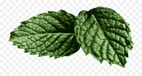 Open mint