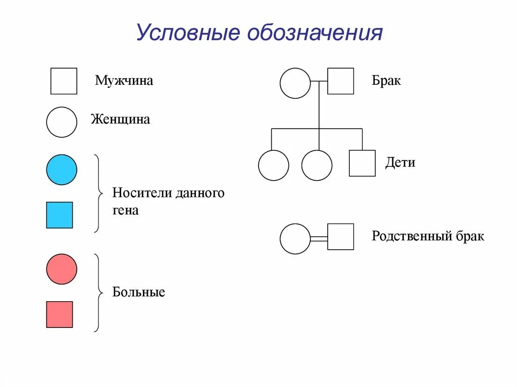 Условные обозначения генетики. Генетика условные обозначения. Обозначение в генетике мужчина и женщина. Условное обозначение мужчины и женщины. Обозначение мужчины и женщины символами в генетике.