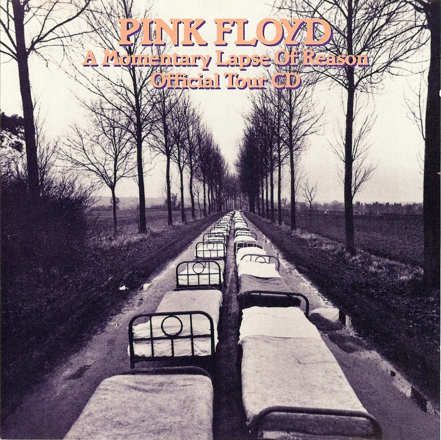 Momentary lapse of reasoning. Pink Floyd a Momentary lapse of reason 1987. Pink Floyd a Momentary lapse of reason 2021. Pink Floyd a Momentary lapse of reason обложка. The reason обложка.