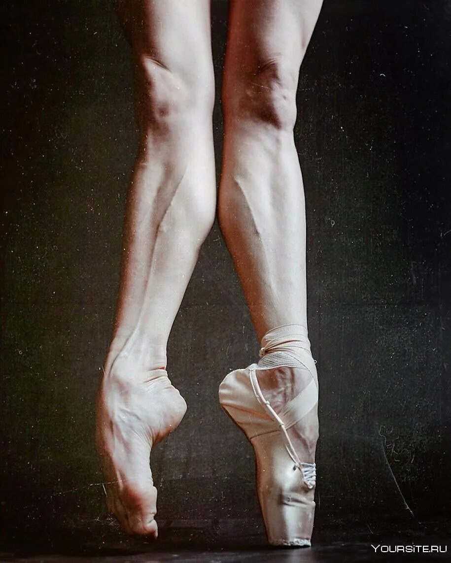Как выглядят ноги балерины. Как выглядят ноги балерины. Как выглядят ноги балерины. Как выглядят ноги балерины. Как выглядят ноги балерины.