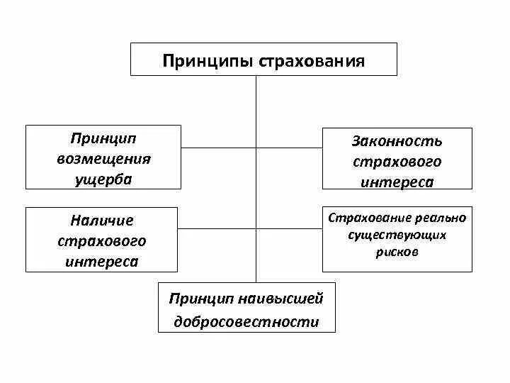 Назовите основные принципы страхования. Принципы страхования Общие и конкретные. Принципы организации страхового дела в РФ:. Назовите основные принципы организации страхования:. Страховое дело функции