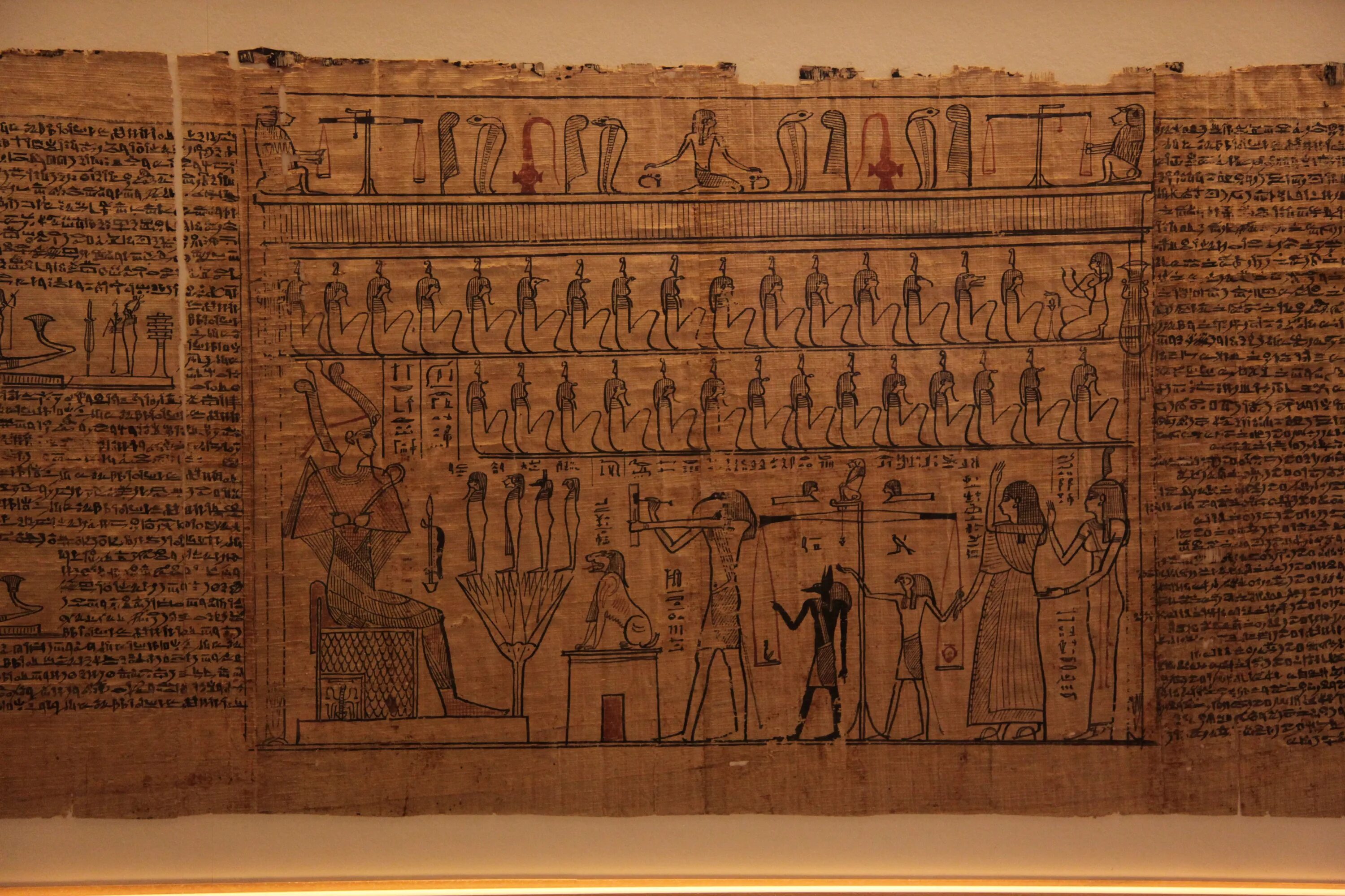 Папирус в древнем Египте. Папирус из древнего Египта. Литература древнего Египта. Папирус бумага древний Египет.