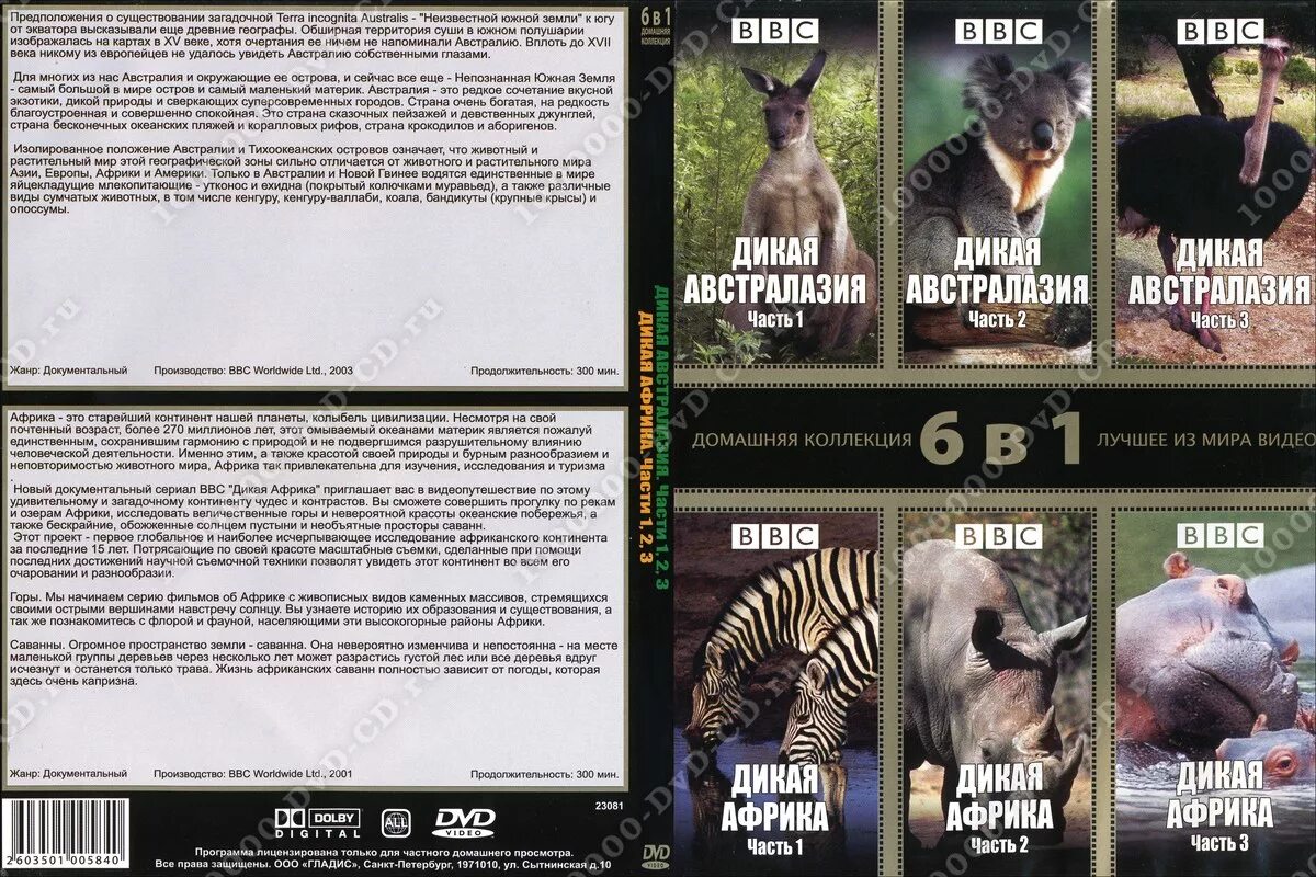 Bbc: дикая африка сериал 2001 кадры. Bbc: дикая африка сериал. фильм ввс дикая африка. Bbc: дикая африка сериал 2001 кадры. дикие леса документальные фильмы ввс.