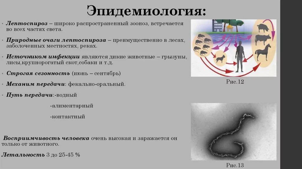 Какое заболевание развивается при заражении простейшими