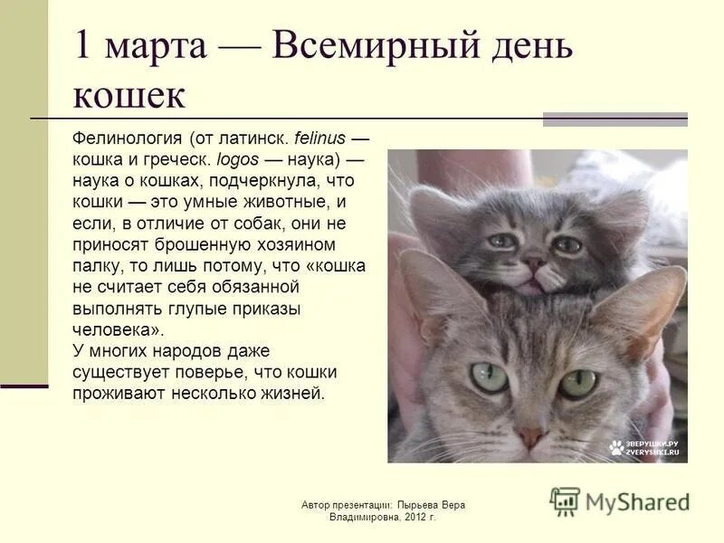 День кошек информация. День кошек презентация. Фелинология наука о кошках.