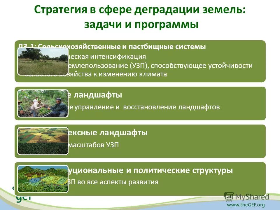 Лес на сельхозземлях. Нарушение использования сельскохозяйственных земель. Пользование земельным участком. Нарушение использования сельскохозяйственных земель. Водная и ветровая эрозия почв.