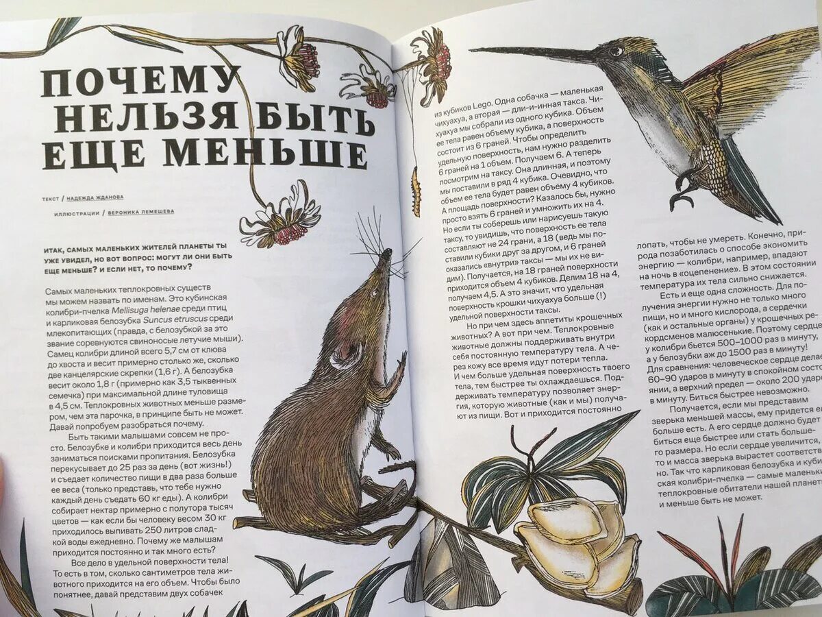 Детская энциклопедия. Плакаты с учеными. Познавательные сказки для детей. Толстой лев николаевич научно-познавательные рассказы. Научно познавательная литература.