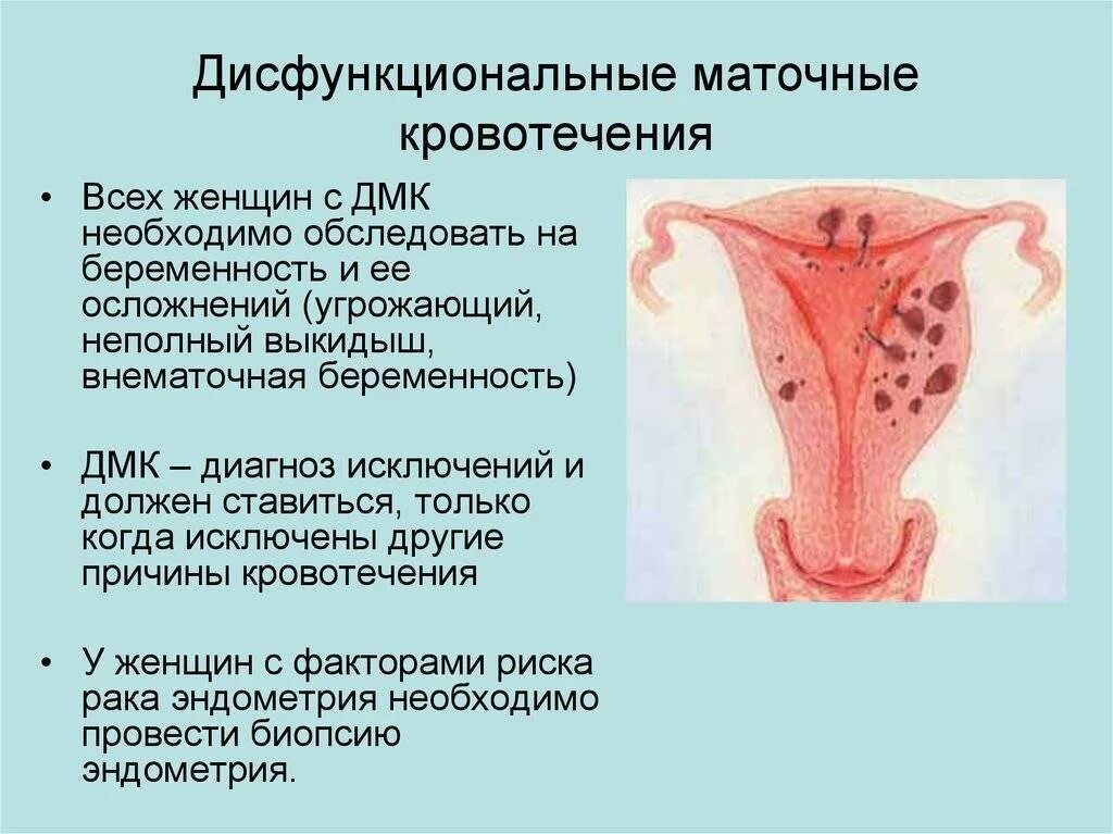 Почему во время месячных причины