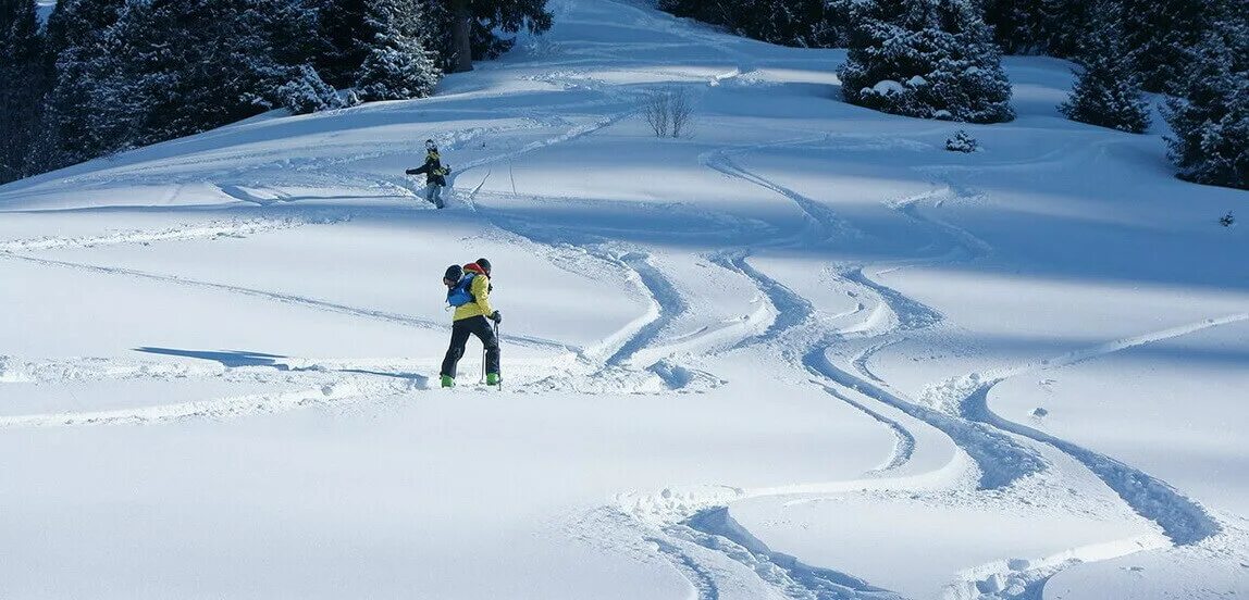 Лыжный фрирайд. Фрирайд лыжи. Катание вне трассы. Backcountry Skiing.