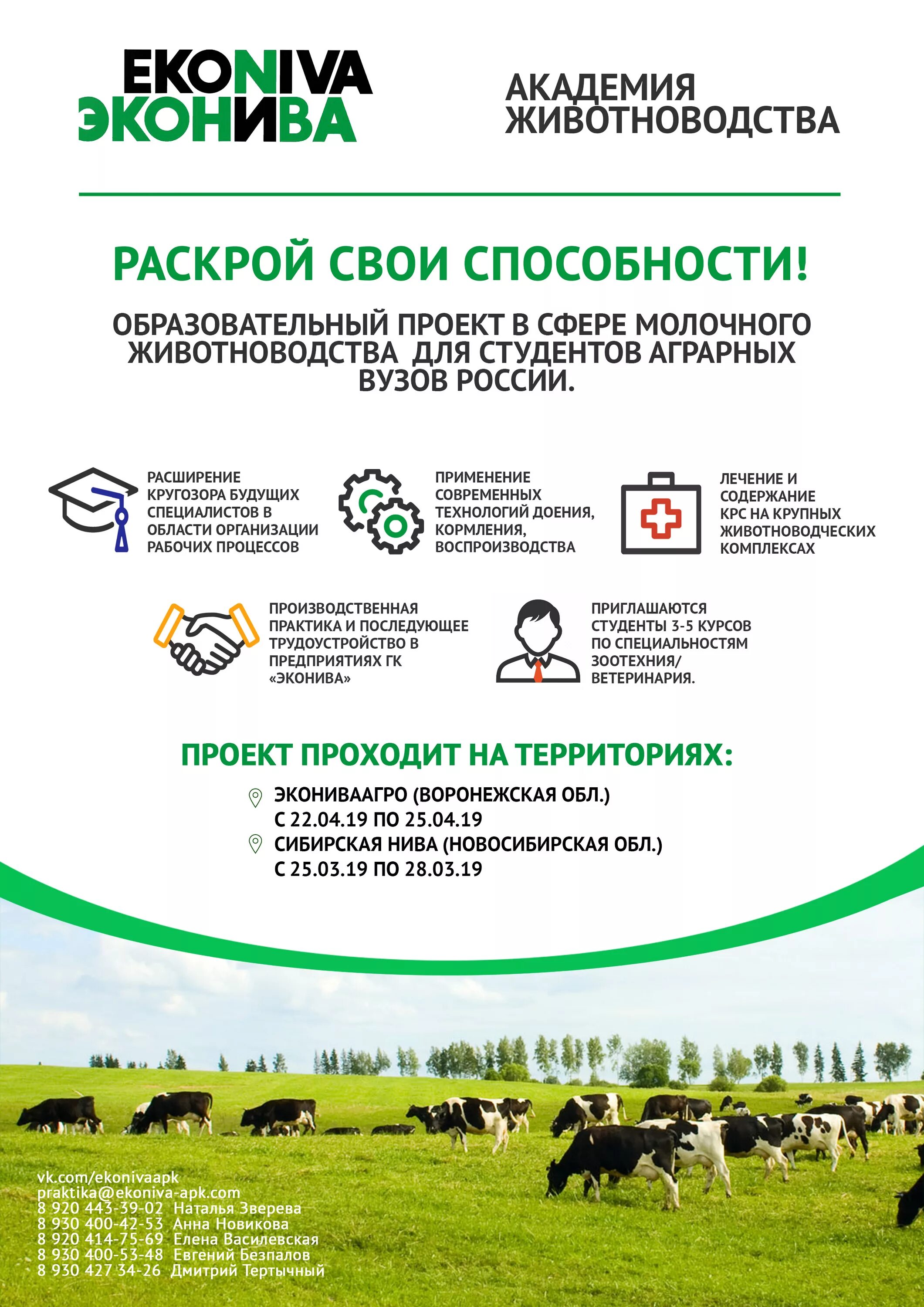 Сколько холдингов входит в компанию эконива. Эконива. эконива стажировка студентов. эконива проект. эконива практика.