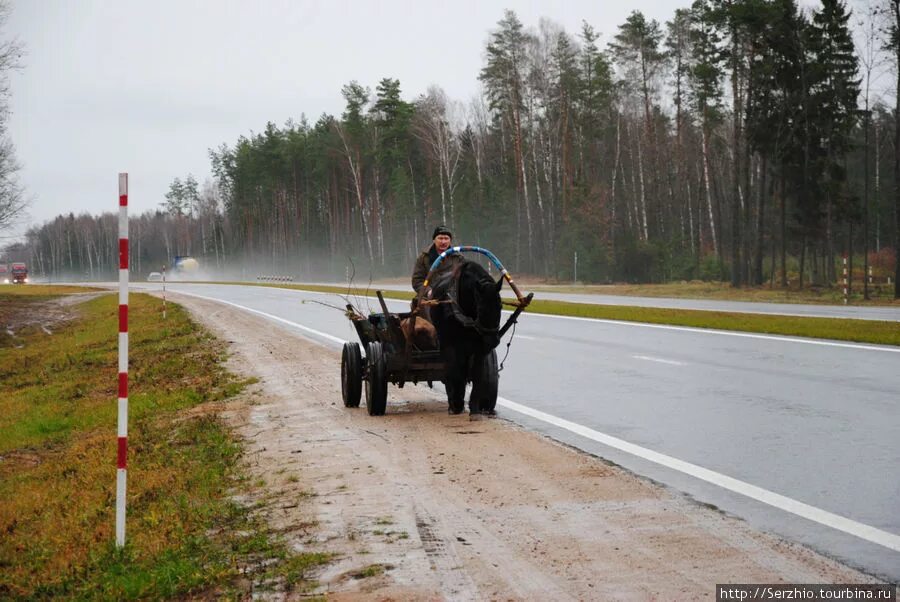 5 mg-wagen 36. Гужевой транспорт ркка в вов 1941-1945 гг. Колонна повозок. Гужевая повозка. Гужевая телега вермахта.