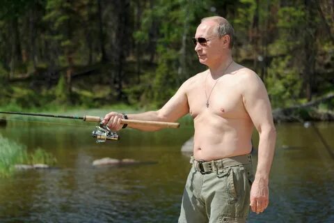 Vladimir Putin wallpapers.
