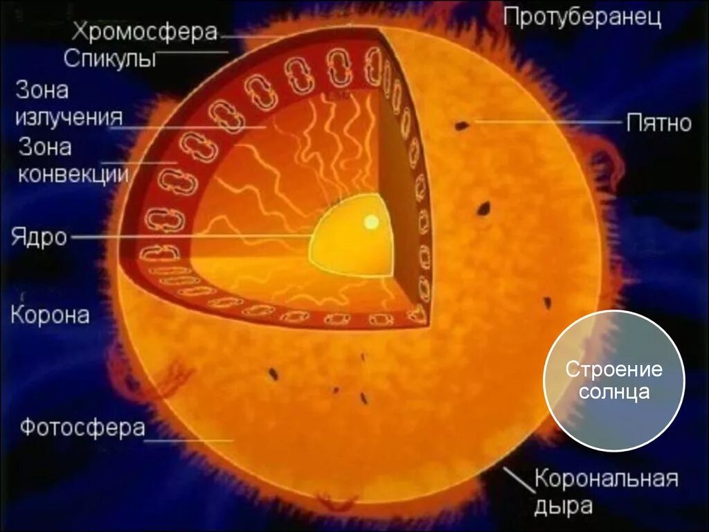Как называется внешняя оболочка солнца. Внутренне строение солнца ядро. Внутреннее строение солнца схема. Внутреннее строение солнца слои. Строение солнца внутреннее и внешнее.