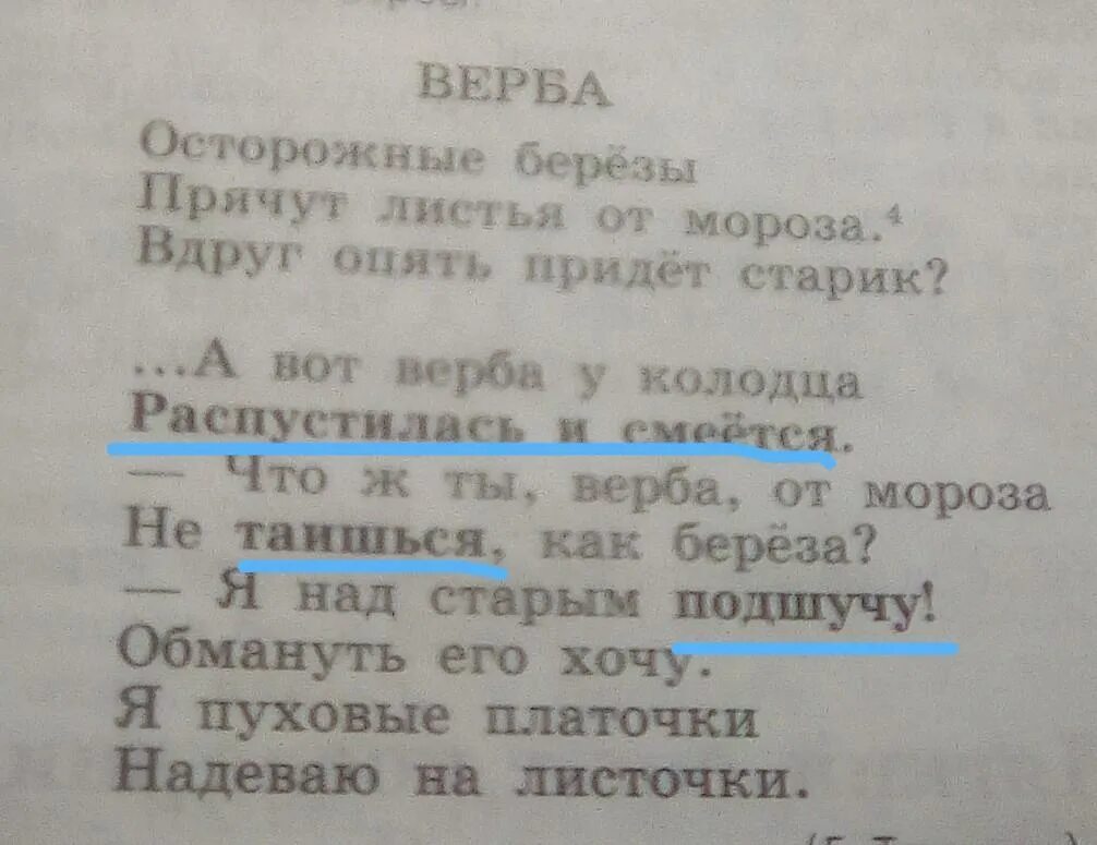 Распушилась морфологический анализ. Распушилась морфологический разбор. Морфологический разбор глагола распустилась. Морфологический разбор глагола смеётся. Морфологический разбор глагола таишься.