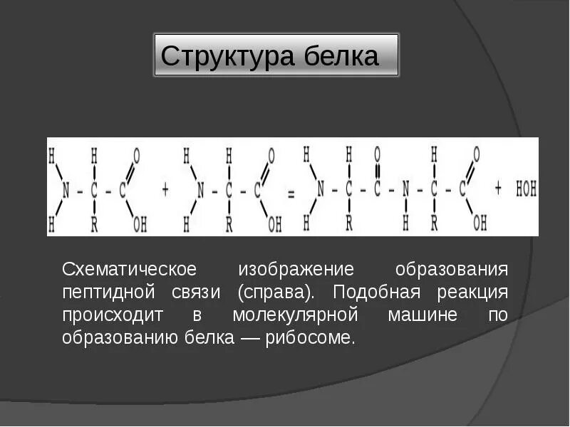 Образование белков. Строение белков схематически. Простые белки схематическое строение. Изображить структура белка схематично. Белки изобразить схематично.