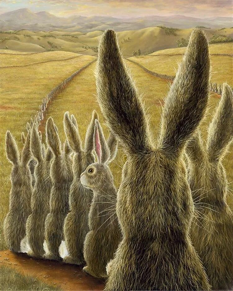 Много зайки. Заяц картина. Косой заяц. Зайцы много.