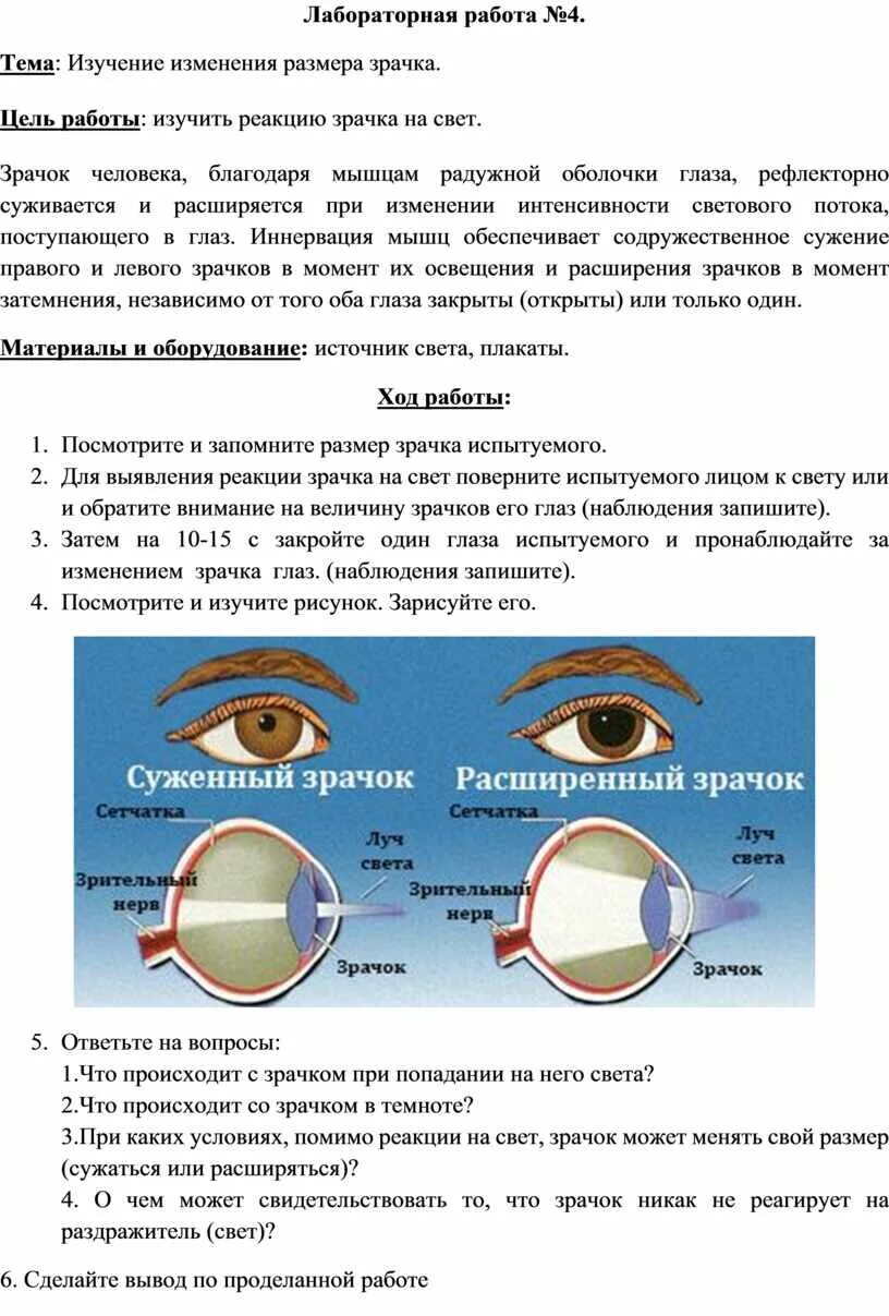 Лабораторная работа по биологии 9 класс зрачок