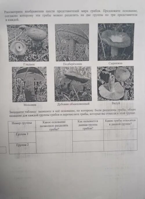 Впр по биологии 7 класс. ВПР по биологии 7 класс 2021 с ответами 1 вариант. ВПР биология 7 класс. ВПР по биологии седьмой класс. ВПР по биологии 7 класс 2021.