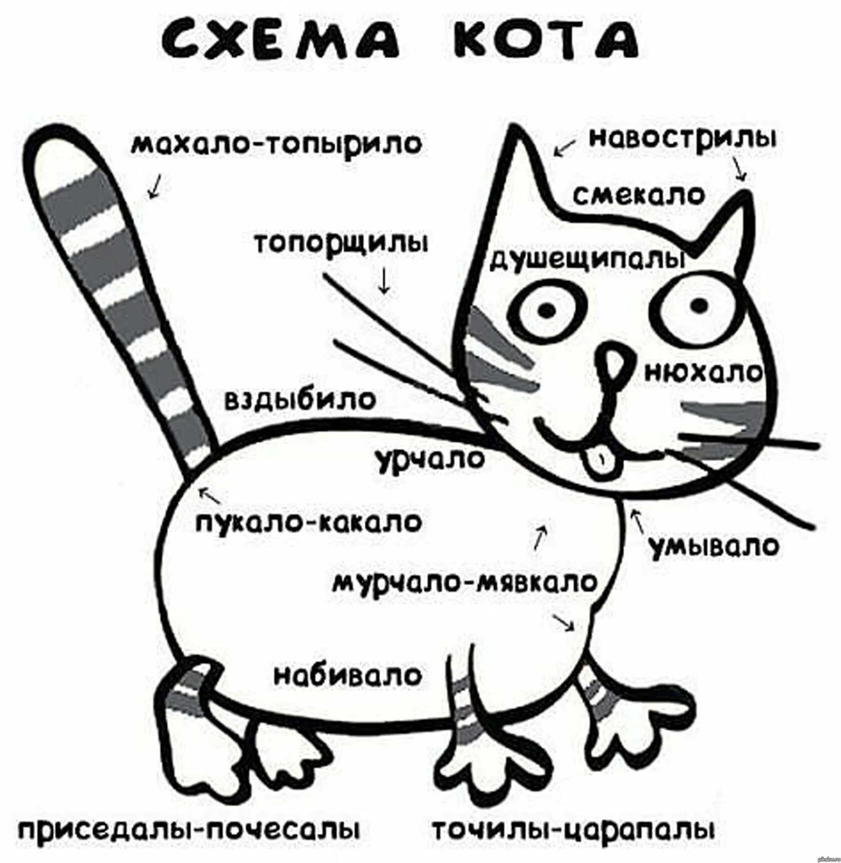 Действия кота если сема вопит. Схема кота. Принципиальная схема кота. Шуточная схема кота. Схема кота мурчало.