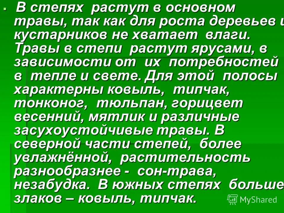 Степные деревья названия. Почему в степи не растут деревья. Почему не растет в степях. Почему в зоне степей не растут деревья. Деревья степной зоны.