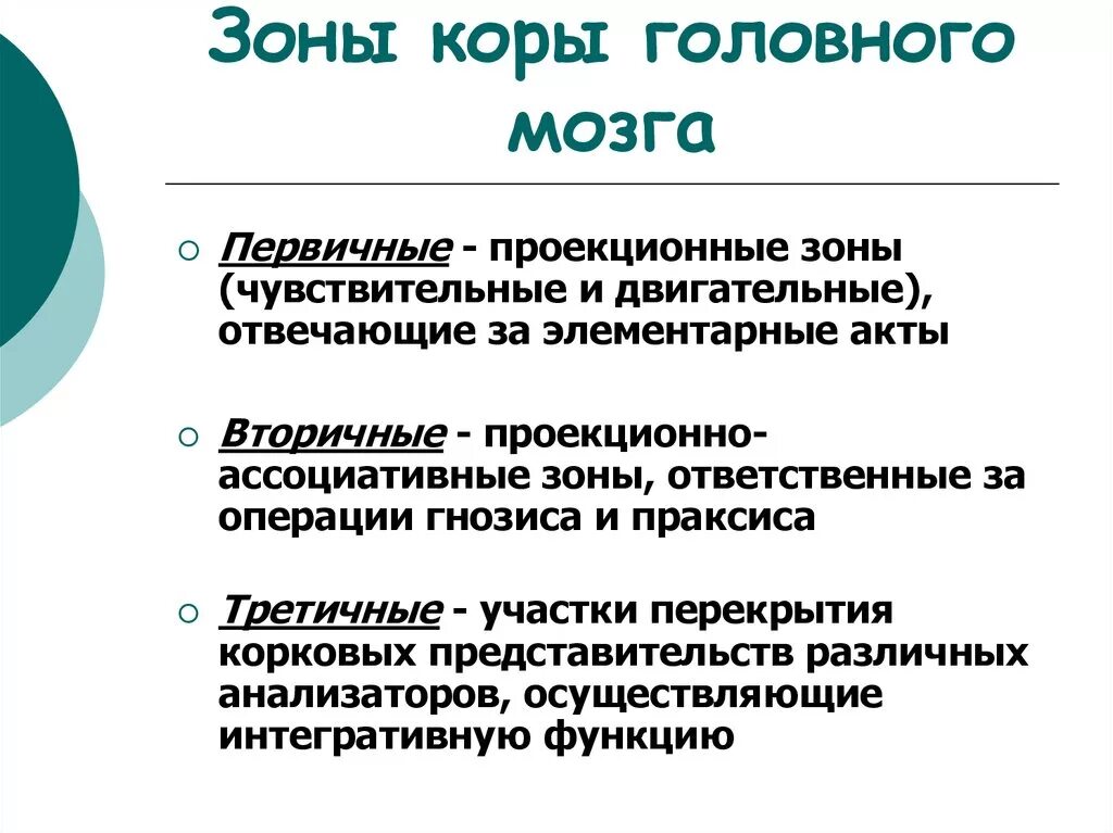 Зоны коры головного мозга первичная вторичная третичная. Первичные проекционные зоны коры головного мозга. Первичные и вторичные поля. Первичные вторичные и третичные зоны головного мозга.