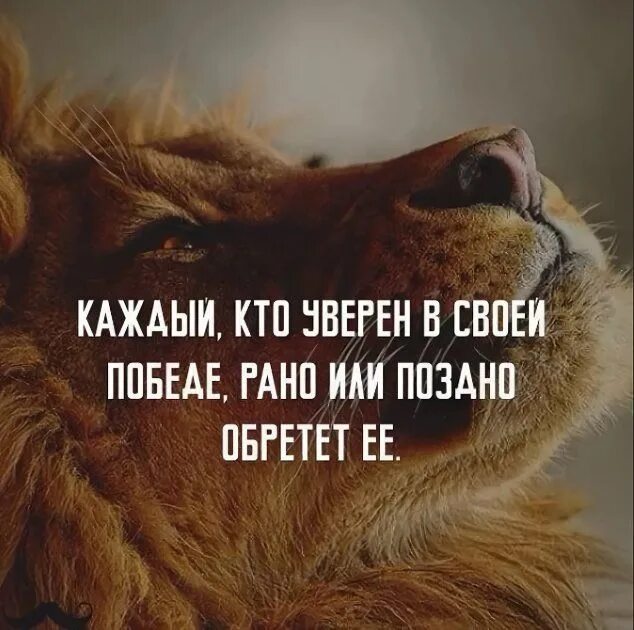 красивые цитаты. крутые цитаты. цитаты для инстаграма со смыслом. красивые высказывания для статуса. цитаты со смыслом для инстаграмма.