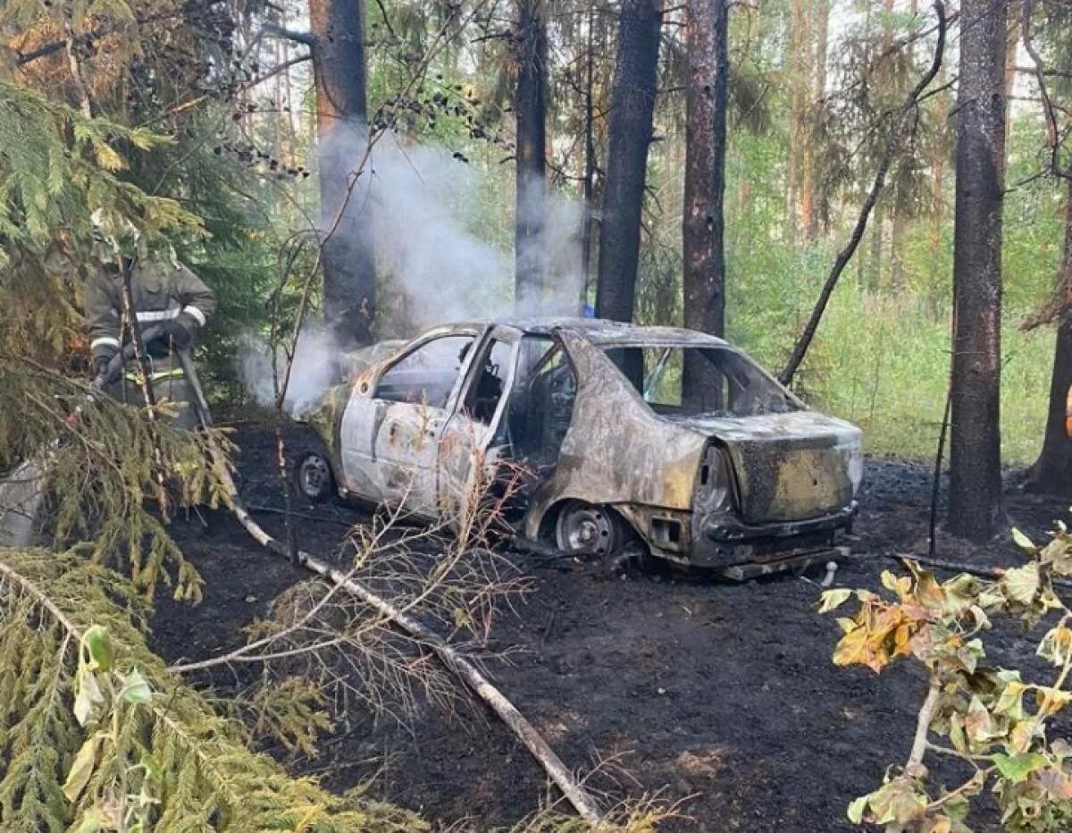 Рено новгородская область. ДТП В Новгородской области. ДТП В Демянском районе Новгородской области.