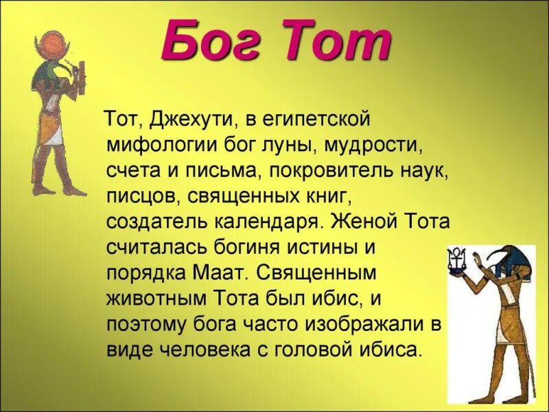 Информация о том что
