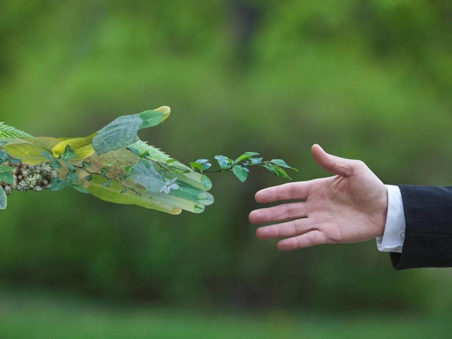 Экологический защита растений. Нитрофоска удобрение. Комплексные удобрения агрохимия. Окружающая среда. Экологический защита растений.