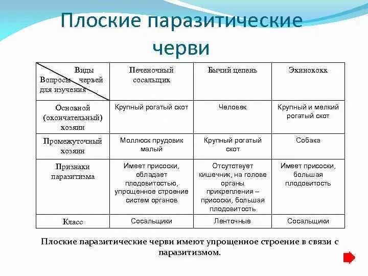 Признаки класса черви. Сравнительная характеристика плоских червей паразитов. Особенности строения паразитических плоских червей. Особенности строения плоских червей паразитов. Таблица сравнения плоских червей Ресничные сосальщики ленточные.