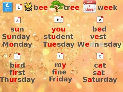 Spotlight 6 9b wordwall