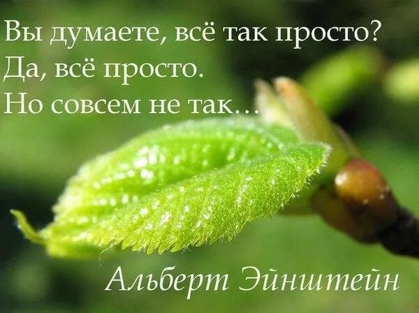 Совсем не простая жизнь. Все так просто. вы думаете всё так просто. да все просто но совсем не так. думаешь все так просто.