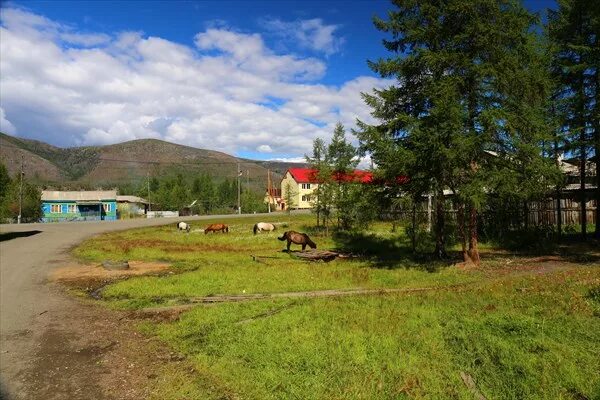 Нельгесе поселок Лазо. Село Тополиное Якутия. Поселок Тополиное. Томпонский район село Тополиное больница. Тополиное якутия