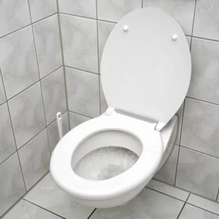 Туалет по английскому языку. Унитаз открытый. Toilet на русский. Туалет в школе. Как туалет на английском.
