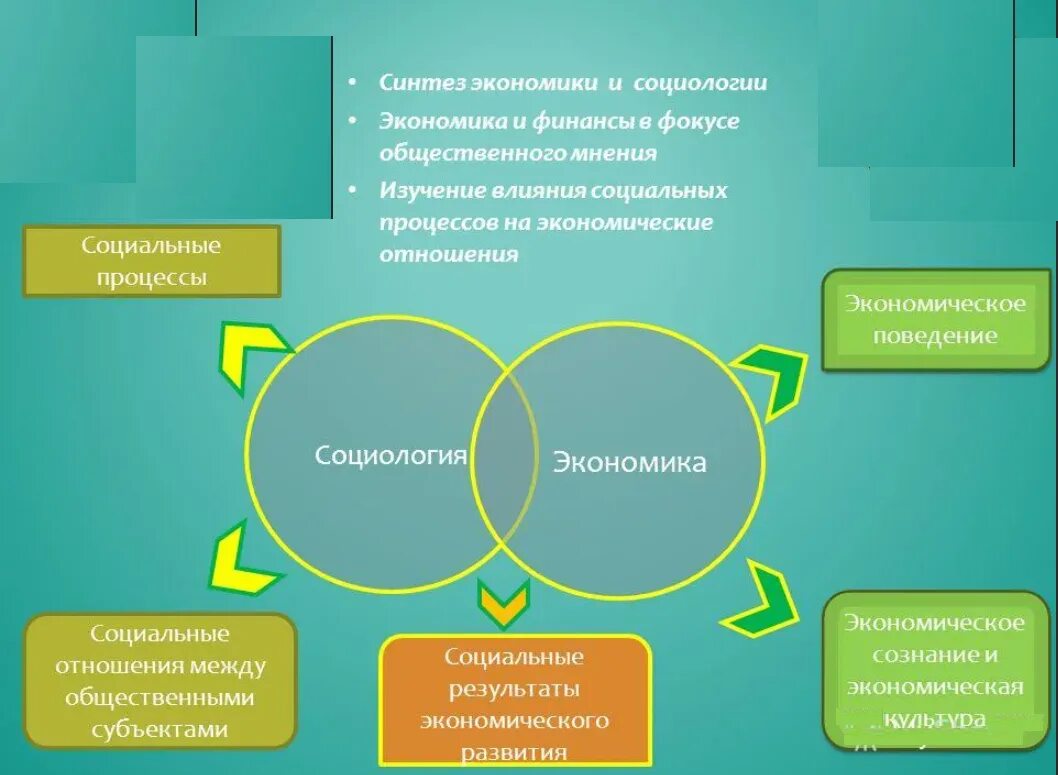 Социально хозяйственное управление