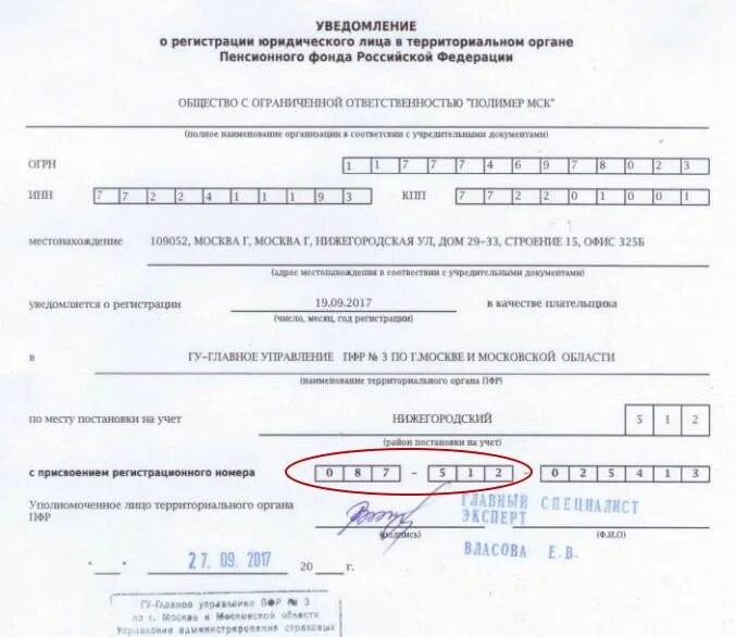 Код территориального пенсионного и социального страхования