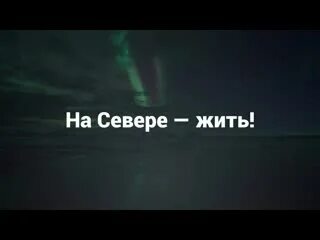 Жить на севере норильчанка. Футболка с надписью на севере жить. Жить на севере норильчанка. Футболка на севере жить. Жить на севере норильчанка.
