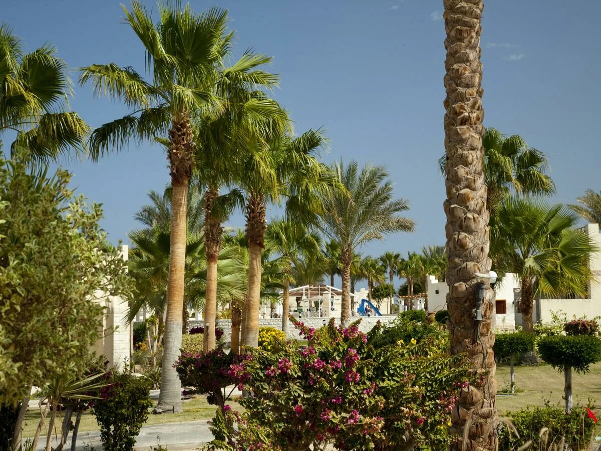 Coral beach hurghada 4. Coral Beach Hotel Hurghada Египет Хургада. Отель Корал Бич Хургада Египет. Ротана Корал Бич Хургада. Хургада / Hurghada Coral Beach Resort 4*.