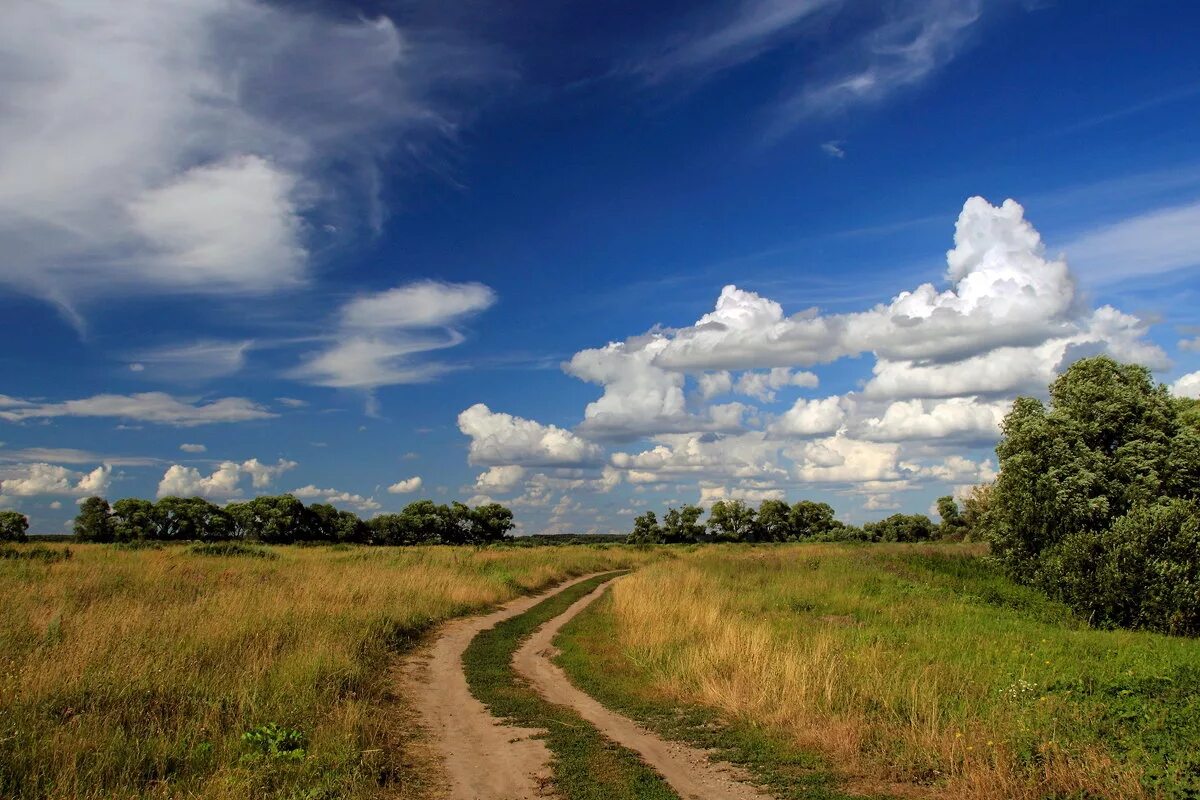 развилка дороги. полевая дорога. " текст. степь раздольная. ах,не одна во поле дороженька слова.