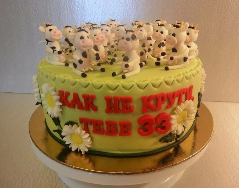 фотосессия на день рождения 30 лет девушке. торт 33 коровы. идеи дня рождения 33 года. идеи дня рождения 33 года. 33 года день рождения.