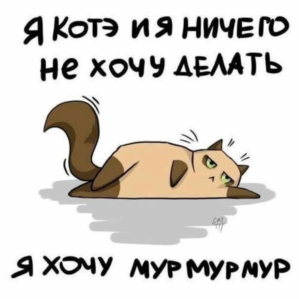 Кис кис когда я умру. Я хочу Мур Мур. Не хочу ничего делать. Я котэ и я ничего не хочу делать. Мур Мем.