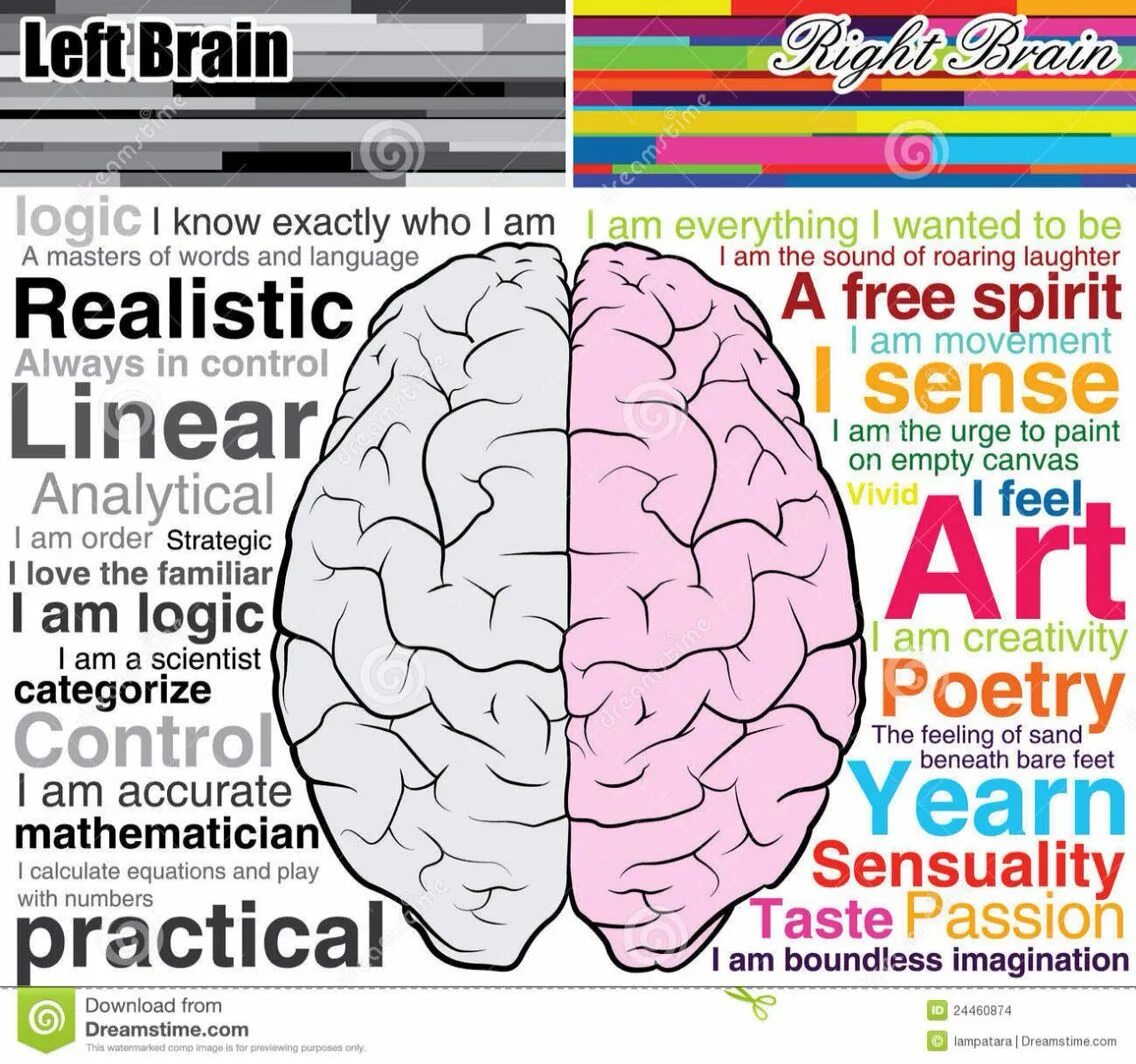 Leave the brain. Left Brain vs right Brain. Left right Brain people. Шапка мозг left Side BP rfhnjy hfcgtxfnfnm. Brain Lets upgrade photo.