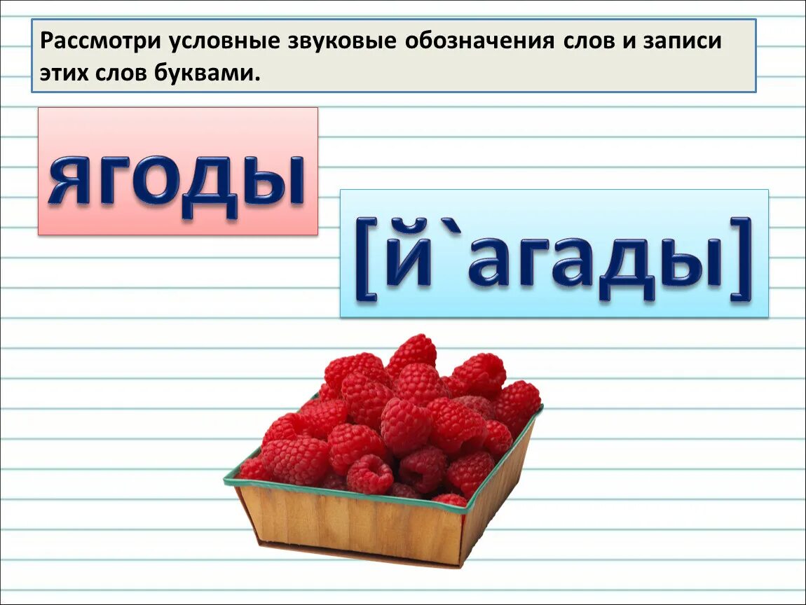 Слово ягода по слогам. Звуковое обозначение слова. Условные звуковые обозначения слов. Рассмотри звуковые обозначения слов. Условные звуковые обозначения слов 2 класс.