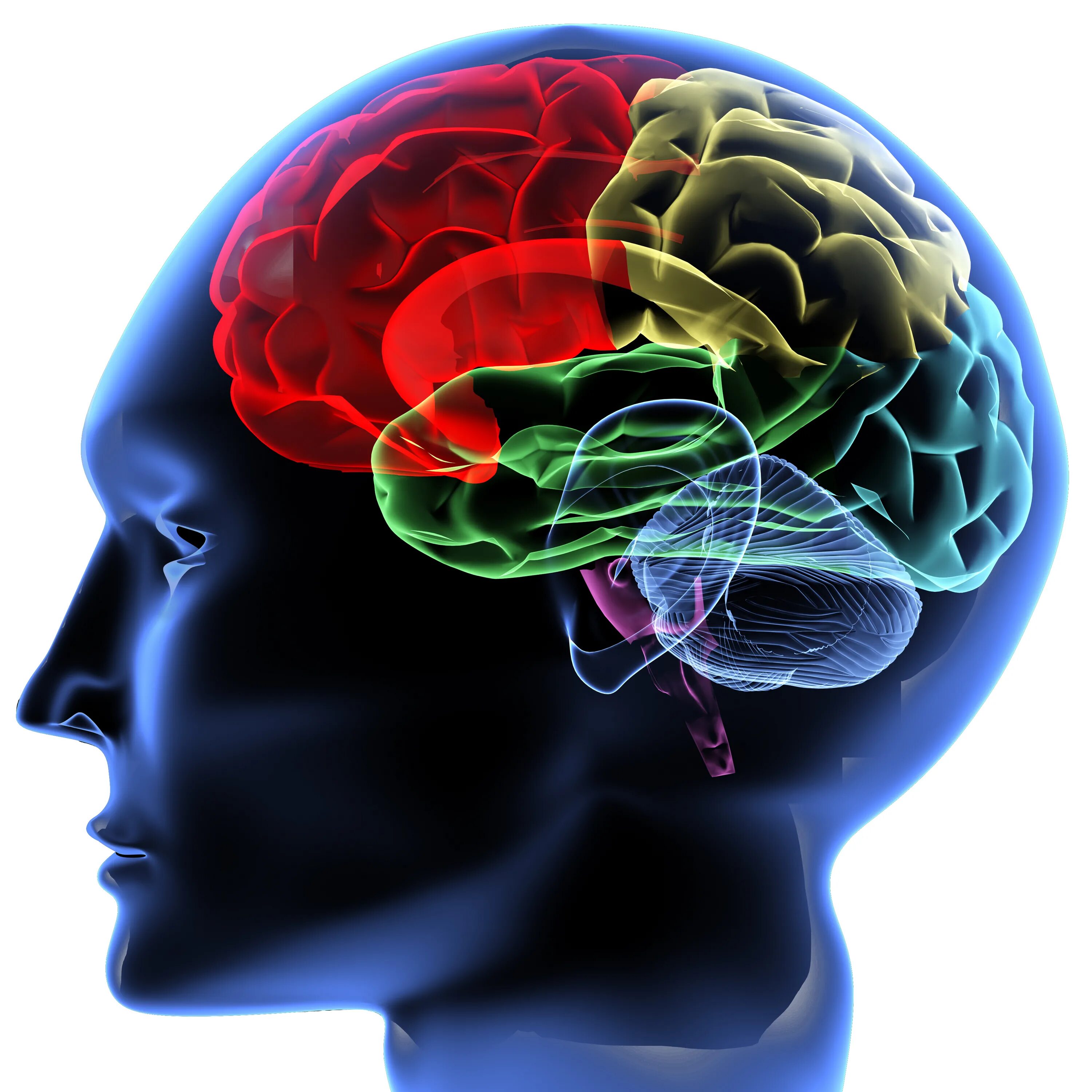 Mind catching