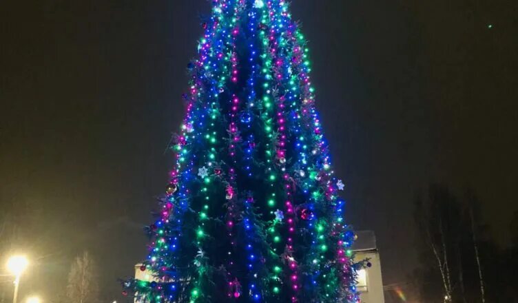 раз два три елочка гори руки вверх. раз два три елочка гори руки вверх. маша и медведь. раз два три елочка гори руки вверх. раз два три елочка гори руки вверх.